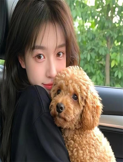 《恐龙当家》有什么特别之处？独特看点与特色最新解析